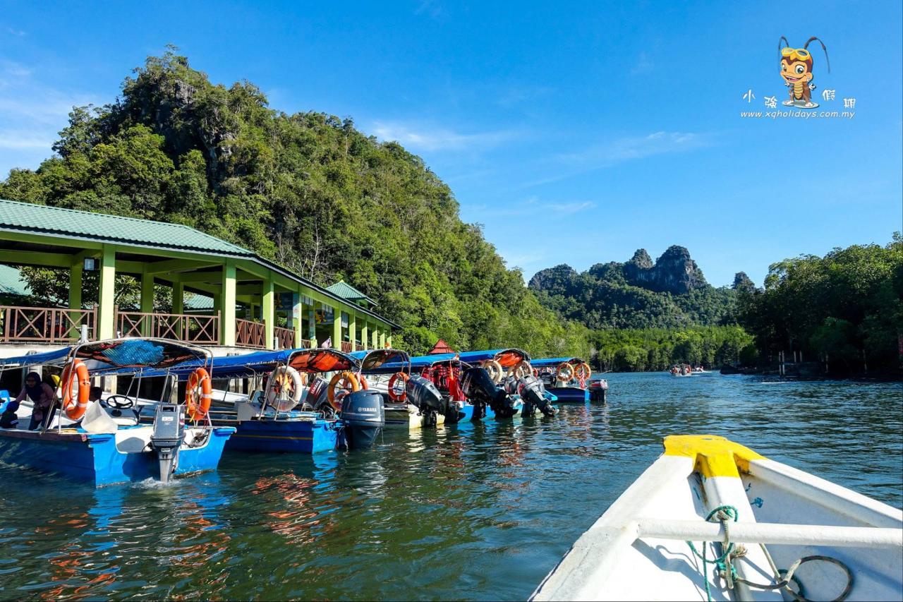 Jelajahi Mangrove Langkawi: Tur Menakjubkan ke Ekosistem Pesisir